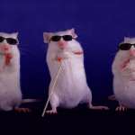 3blindmice