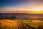 This photo is taken at sunset. Agricultural fields with yellow and green crops spread towards rolling hills on the horizon. Windmills are dotted along the ridge of the hill.